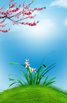 蓝天白云草地