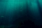 大海 蔚蓝的大海 大气 海洋