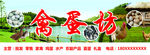 禽蛋坊