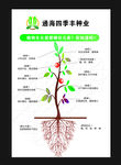 植物生长要素