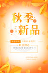 秋季海报