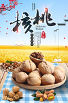 薄皮核桃宣传海报