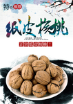 纸皮核桃海报