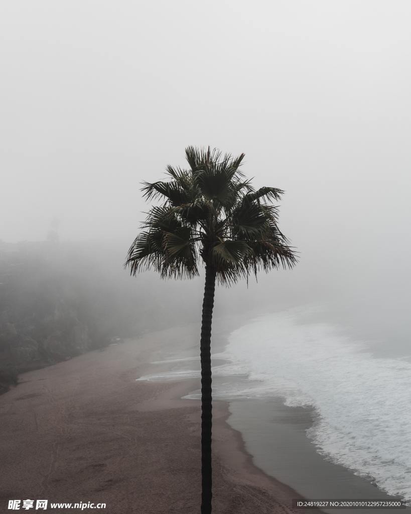 海景