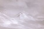 雪山