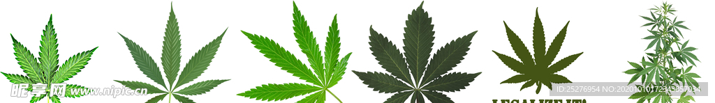 大麻png免扣高清素材