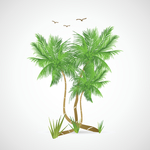 树海滩