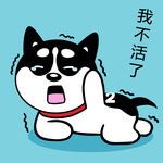 哈小齐