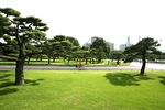 自然风景 自然风光 风景图