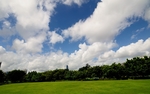 自然风景 自然风光 风景图
