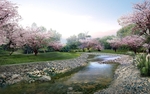 自然风景 自然风光 风景图