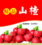 山楂海报