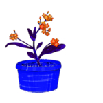 花素材