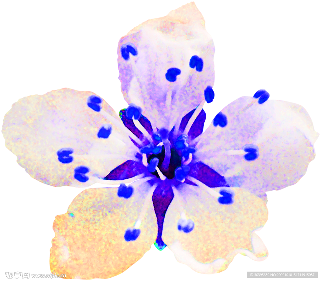 花素材