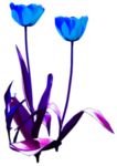 花素材