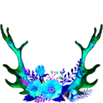 花素材