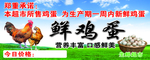 鲜鸡蛋海报