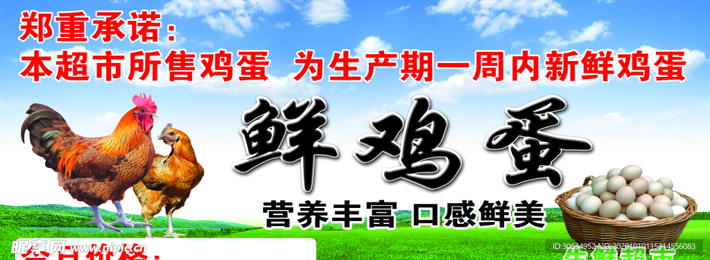 鲜鸡蛋海报
