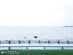 海边海上