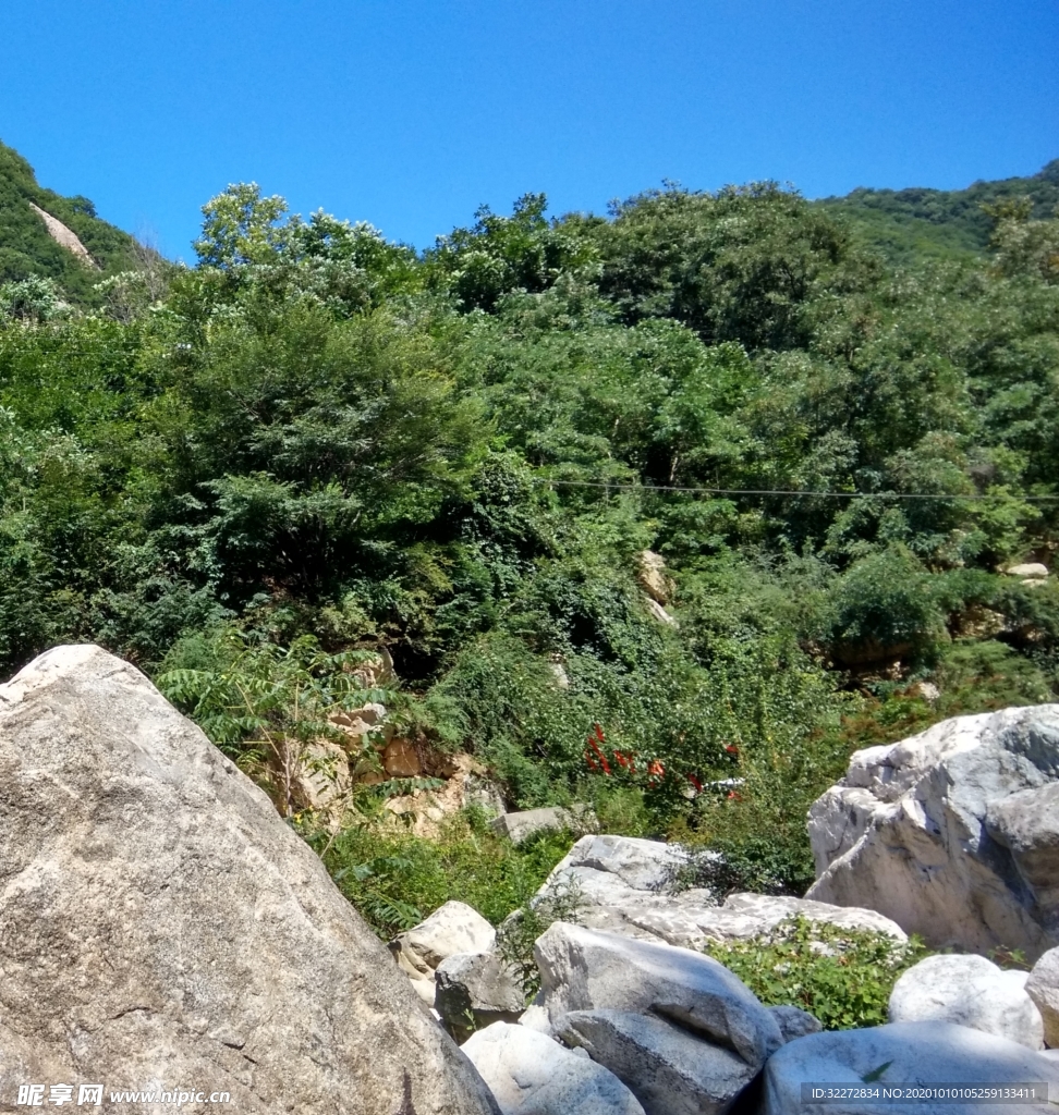 山石