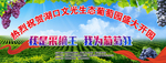 我是采摘王