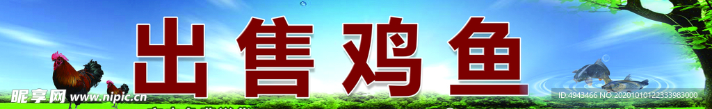 出售鸡鱼