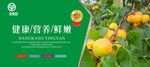 水果海报 水果挂画 水果促销海