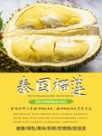 榴莲海报