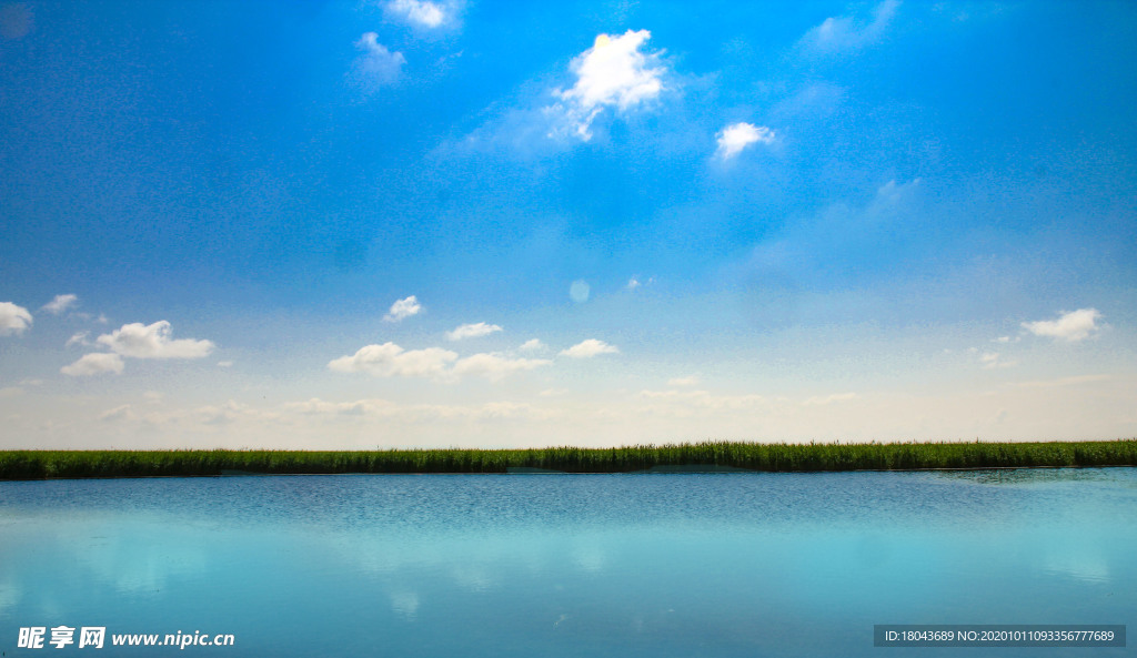 湿地背景