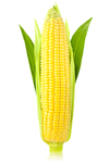 糯玉米
