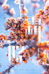 霜降