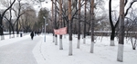 雪中路