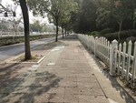 马路边