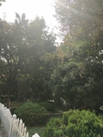 路边