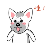 哈蹦蹦