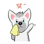 哈蹦蹦