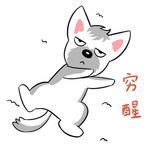 哈蹦蹦