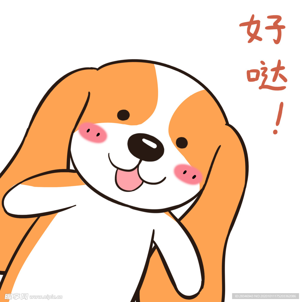 哈菜菜