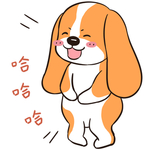 哈菜菜