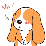 哈菜菜