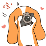 哈菜菜