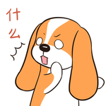 哈菜菜