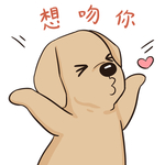 哈发发