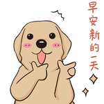 哈发发