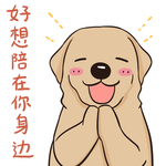 哈发发