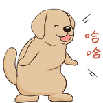 哈发发