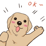 哈发发