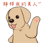 哈发发