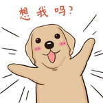 哈发发