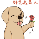 哈发发